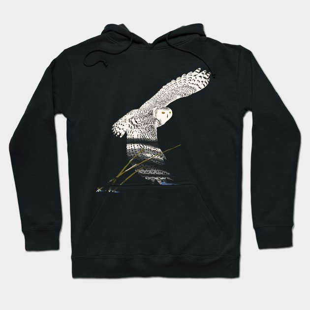 The snowy owl in flight Hoodie by RobertBretonArt